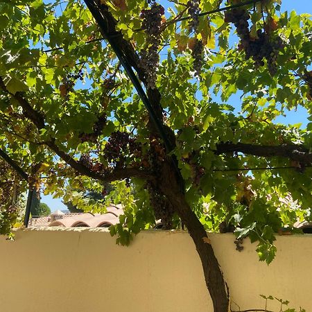 Evasion En Provence Bas De Villa Avec Jardin & Vignes, Soleil & Fraicheur Mirabeau Zewnętrze zdjęcie