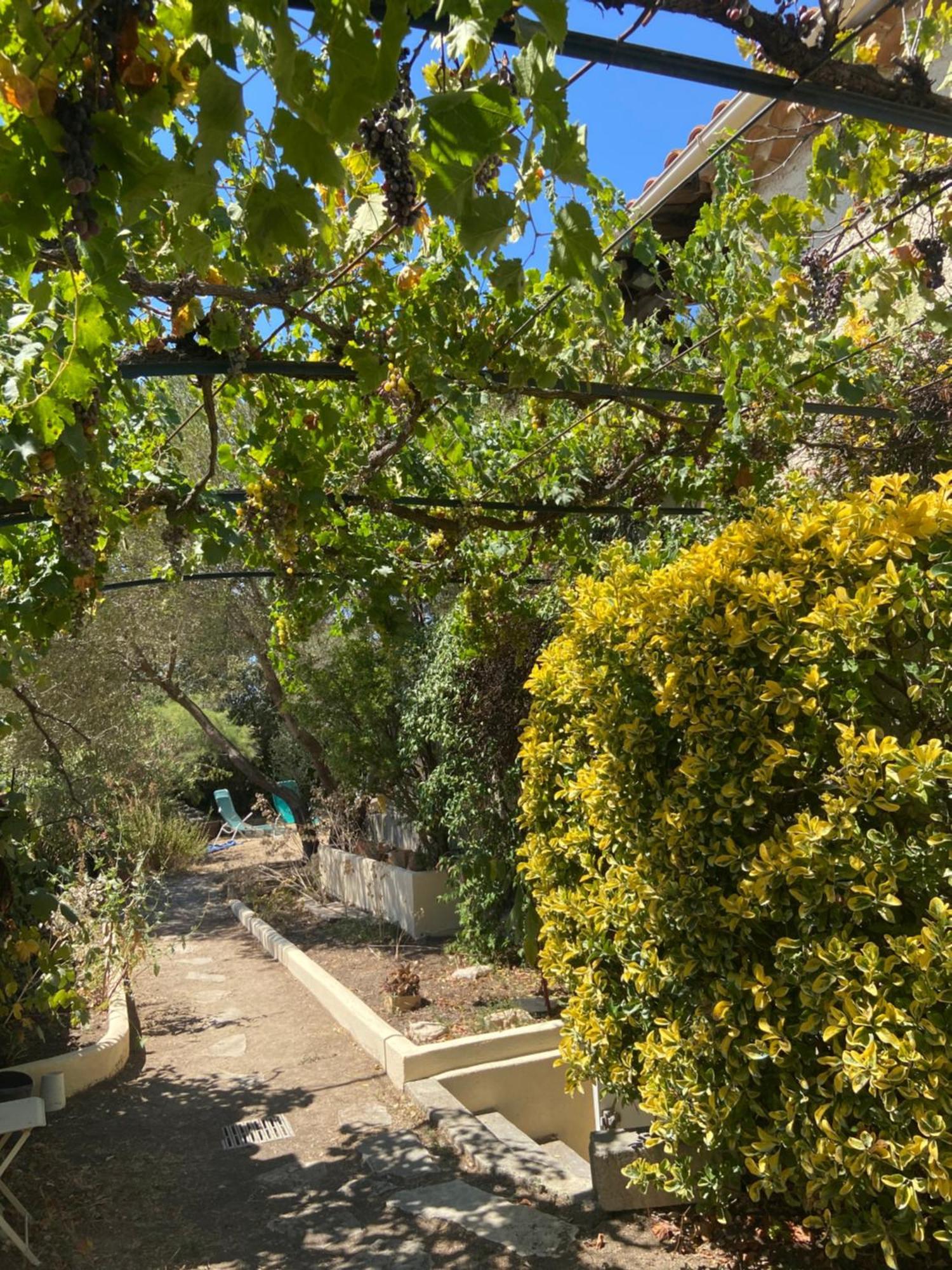 Evasion En Provence Bas De Villa Avec Jardin & Vignes, Soleil & Fraicheur Mirabeau Zewnętrze zdjęcie